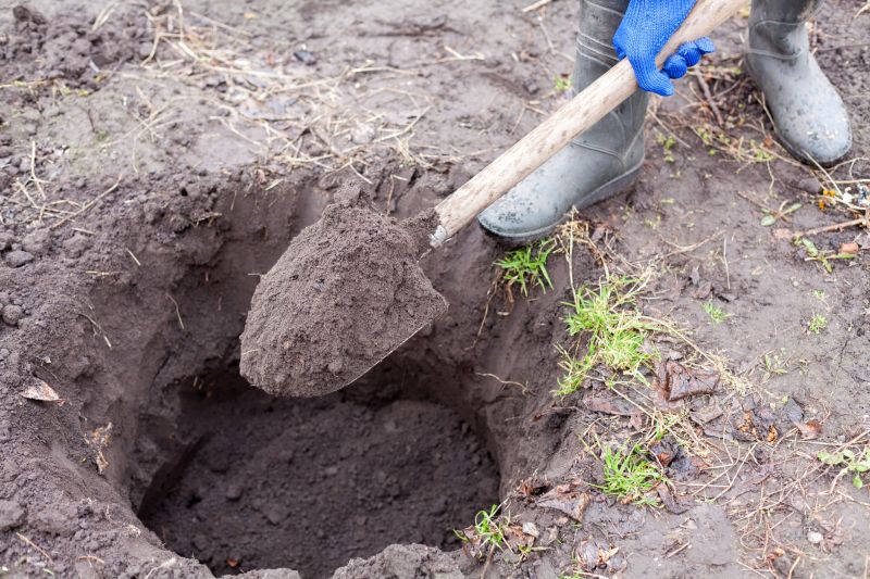 Digging Service