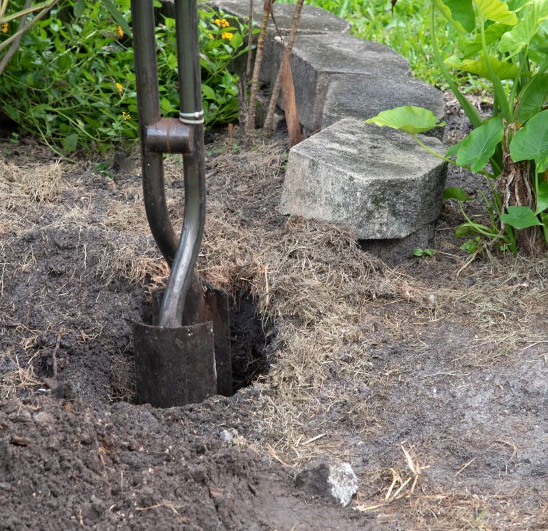 Digging Service