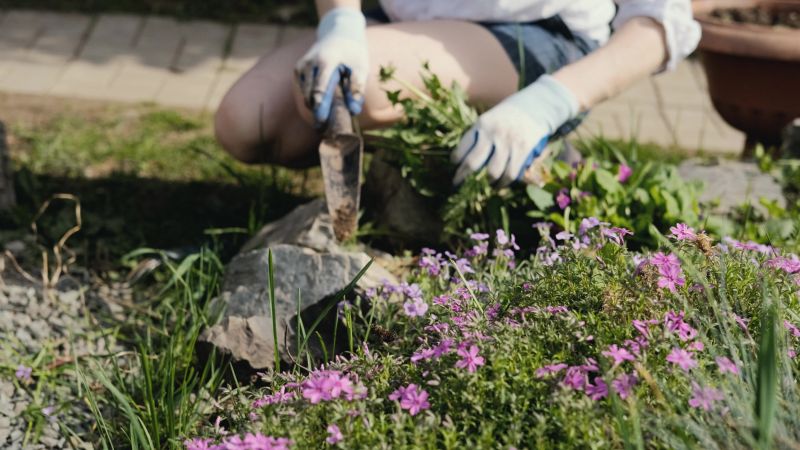 Landscaping and Garden Digging